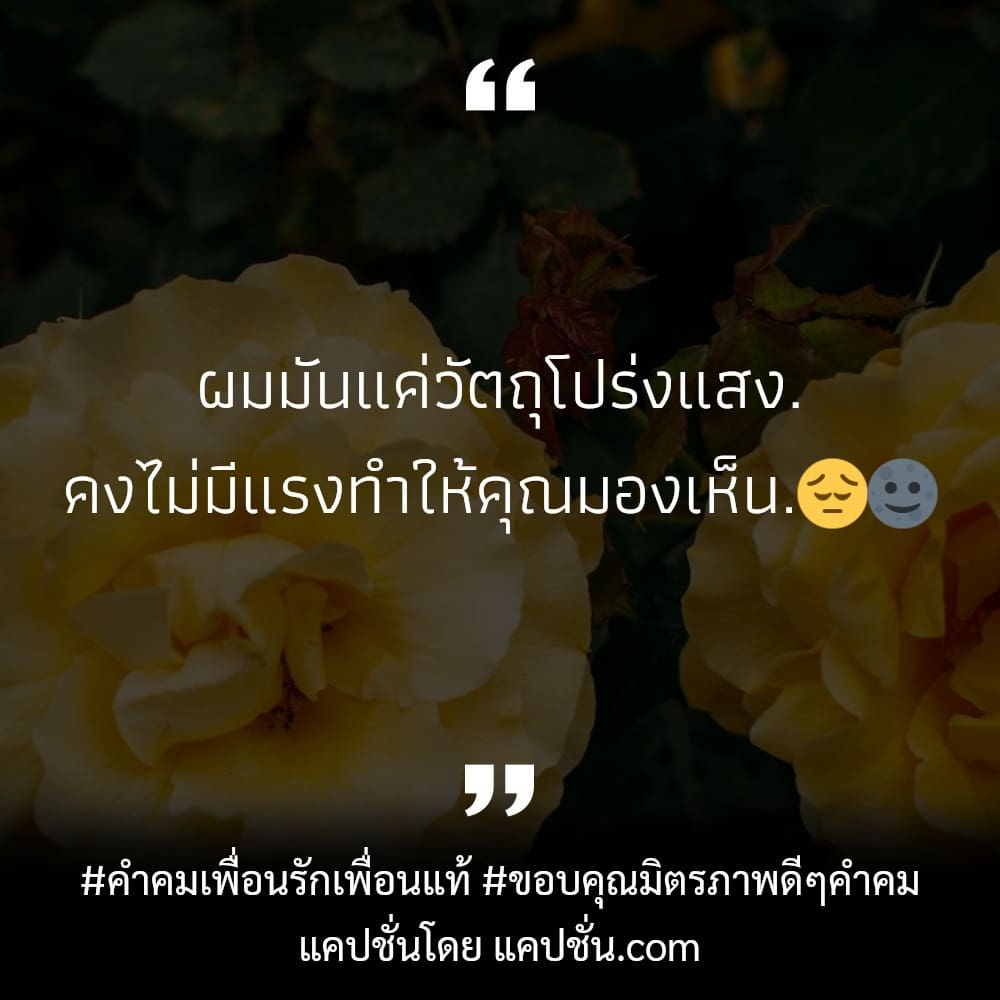 124 คำคมคําคมเพื่อน 2023 สเตตัสขอบคุณมิตรภาพดีๆคําคม คำคมคําคมเพื่อนซึ้งๆ -  แคปชั่น